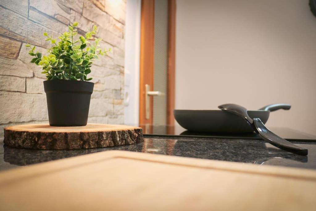 Apartement Nathalie - Wellness Mit Pool Und Sauna سشلوشسي المظهر الخارجي الصورة